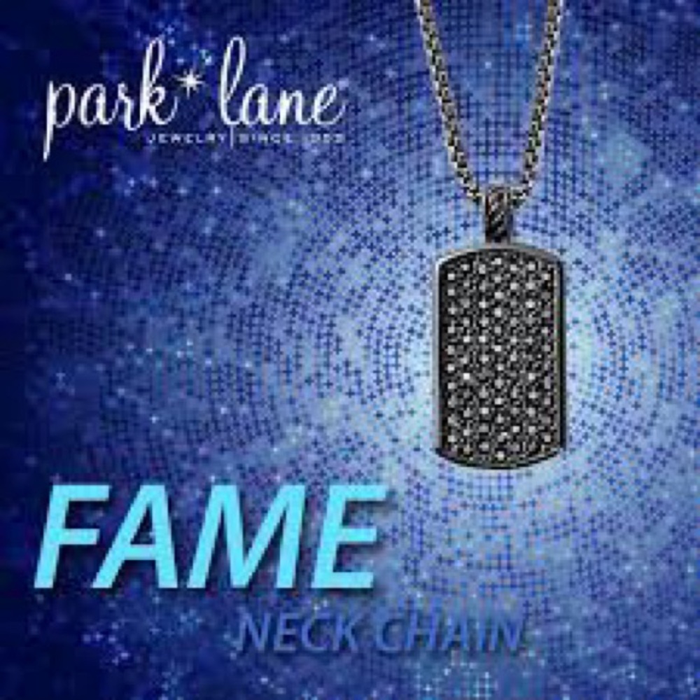 Park Lane Fame Necklace NWT - Picture 2 of 4